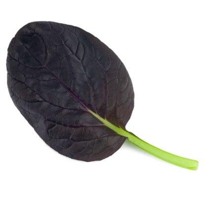 Picture of Pak Choi Purple Rain F1 